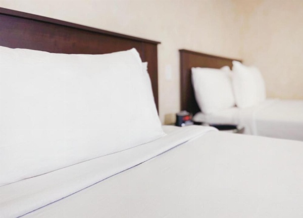 Nite Inn at Universal City - Walking Distance to Universal Studios Hollywood image 63